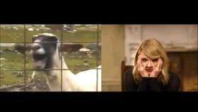 黄老板爆料唱歌视频大全,唱歌视频大全幕后花絮大公开  第3张